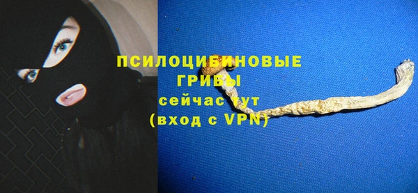 крисы Арсеньев