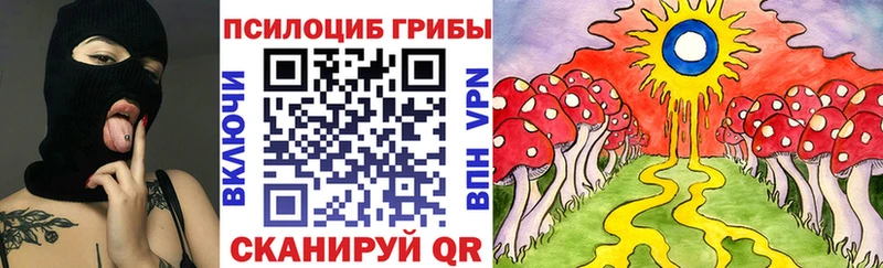 Псилоцибиновые грибы Psilocybe  сколько стоит  Отрадный 